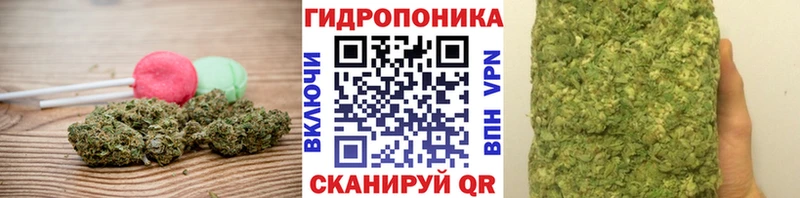 где купить   Белая Холуница  blacksprut   Cannafood конопля 