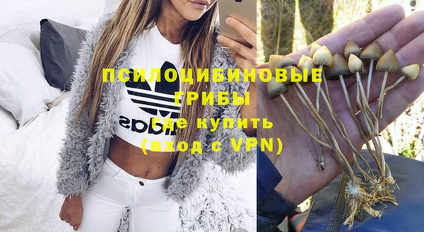 ГАЛЛЮЦИНОГЕННЫЕ ГРИБЫ Балабаново