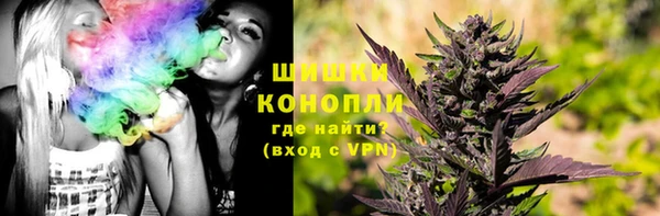 ГАЛЛЮЦИНОГЕННЫЕ ГРИБЫ Балабаново