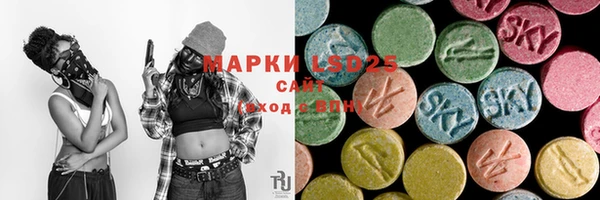 ГАЛЛЮЦИНОГЕННЫЕ ГРИБЫ Балабаново